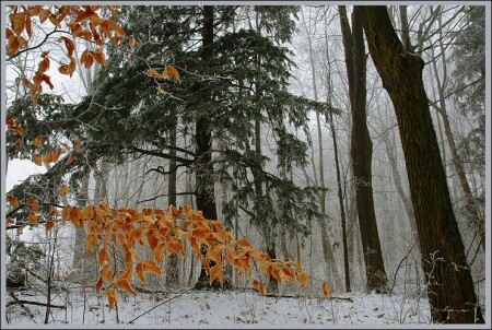 almost winter