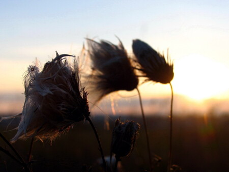 вечерний залип