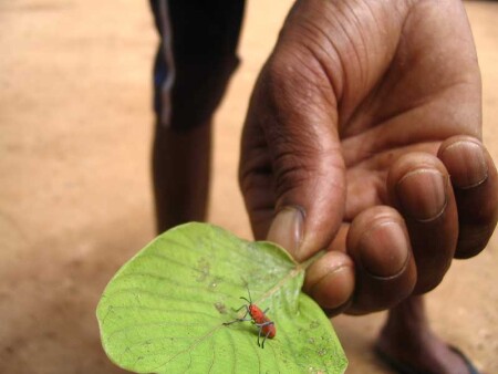 Композиция