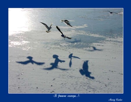 В ритме солнца