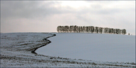 Грань