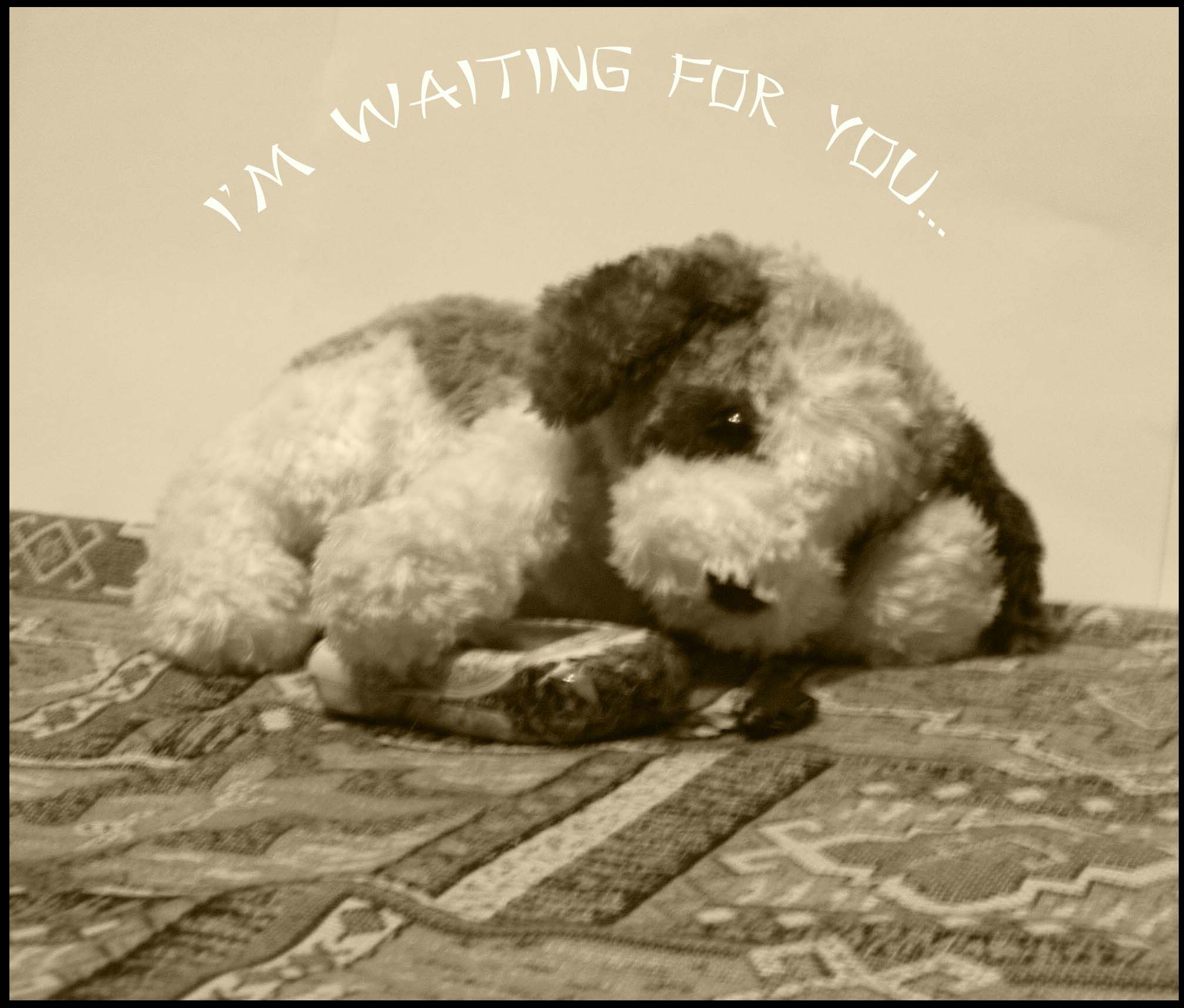 Anxious expectation
