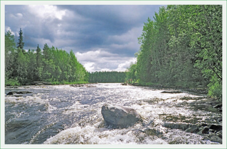 Перед ливнем