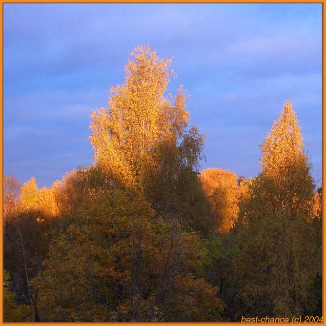 золотая осень