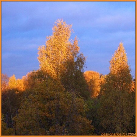 золотая осень