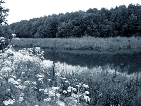 Moby &#039;Natural Blues&#039;