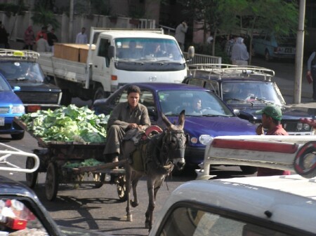 Каждому свой транспот