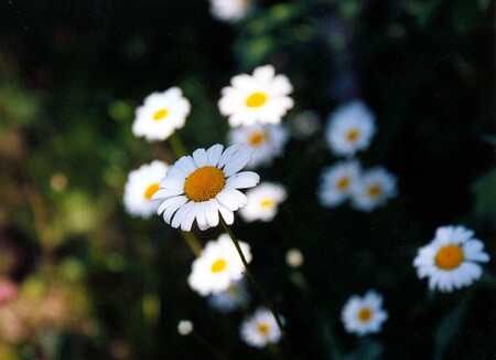 воспоминания...