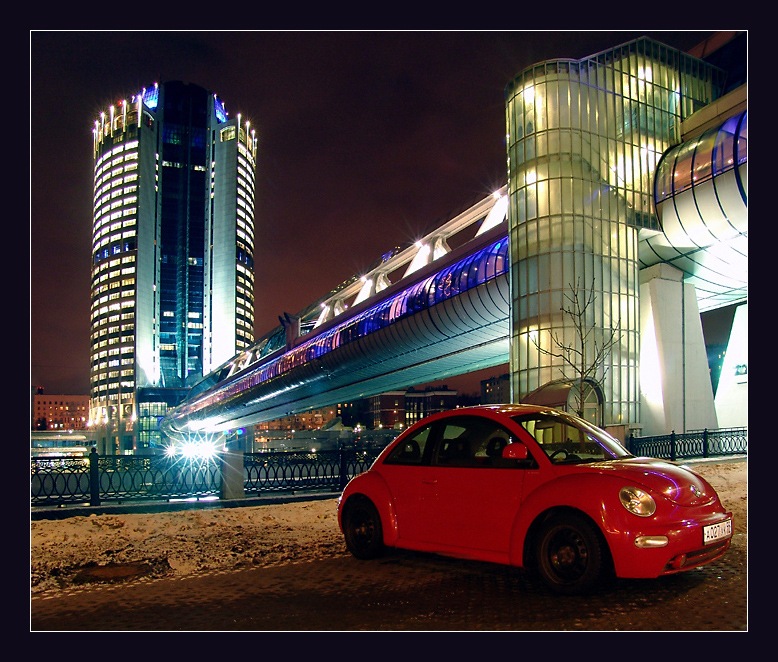 Red Beetle Pic