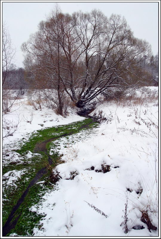 Река Жизни