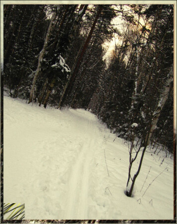 Просека