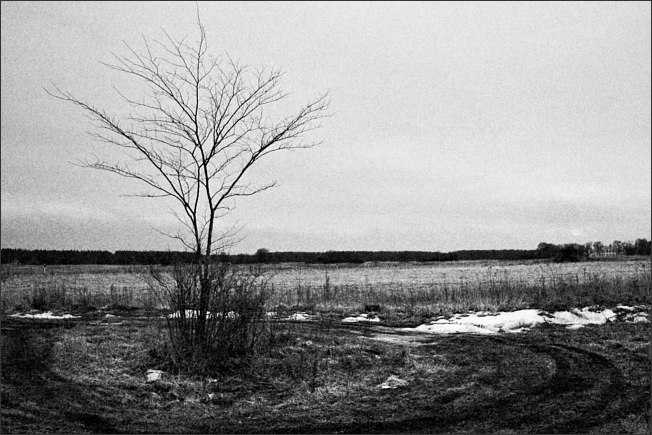 декабрь (некрасивая фота)