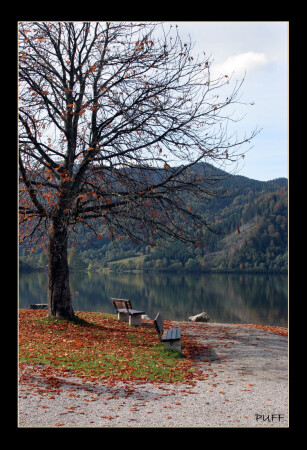 Быть первым