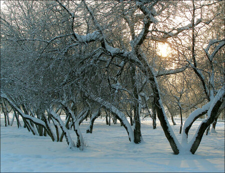 В городском парке зима. Часть 1
