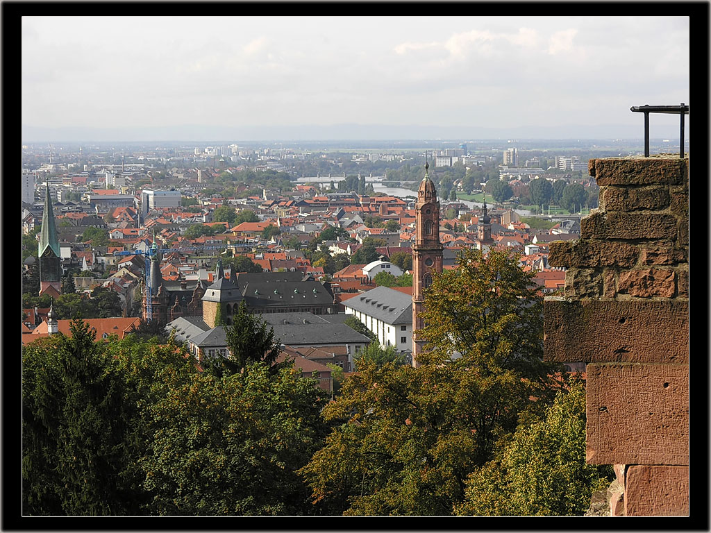 Heidelberg. From the wall.