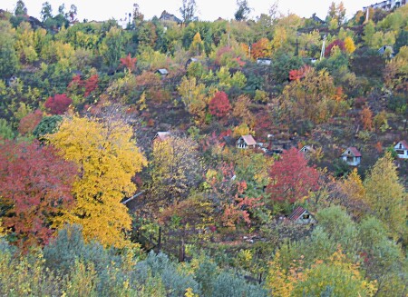Осенняя палитра