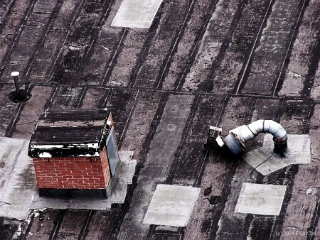 *RoofArt*