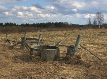 веесна (стерео)