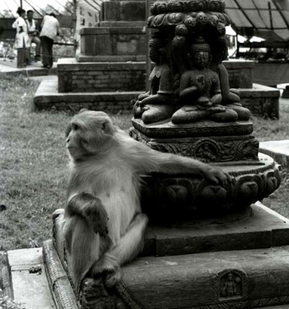 Позерство:)