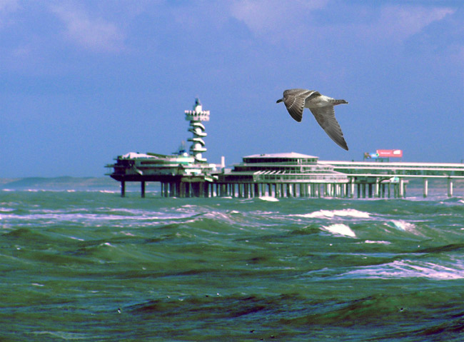 Зимнее море