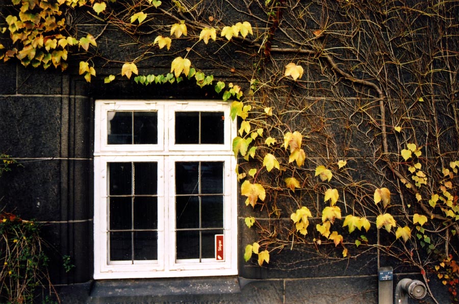 ART NOUVEAU