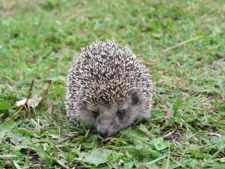 Ну так что...