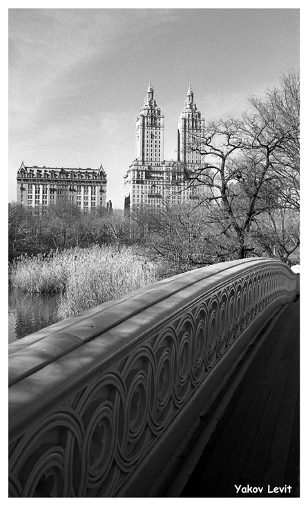 Park N.Y