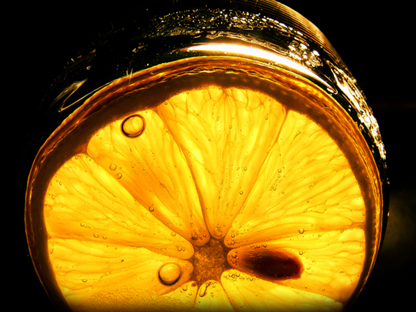 Citrus art.