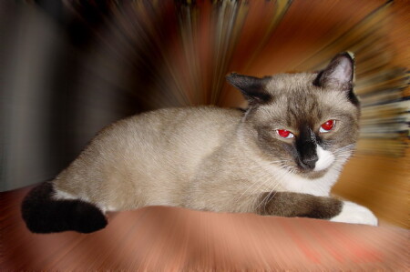 Сладкое пробуждение