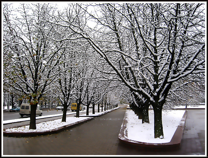 Первый снег
