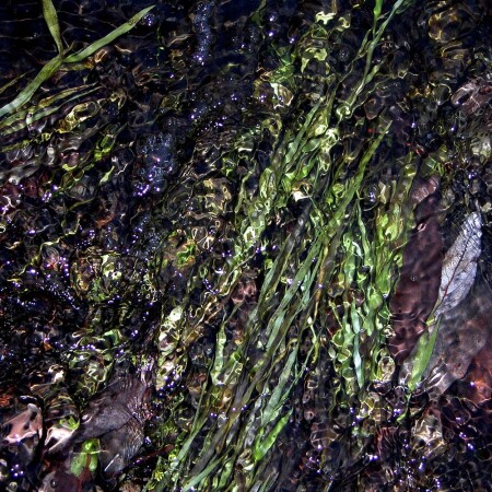 Изумрудный ручеёк