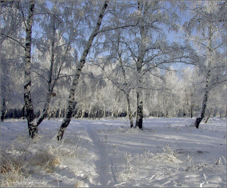 Русская зима