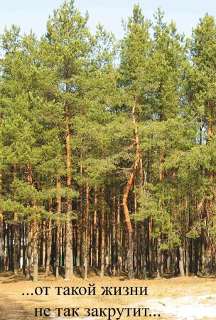 Реальность