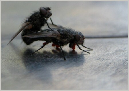 Это любовь...С ними рядом Амур крыльями машет....