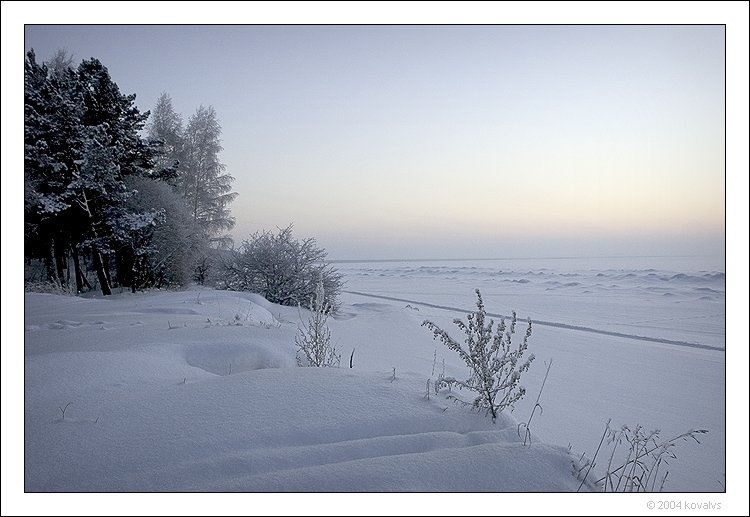 Морозный день