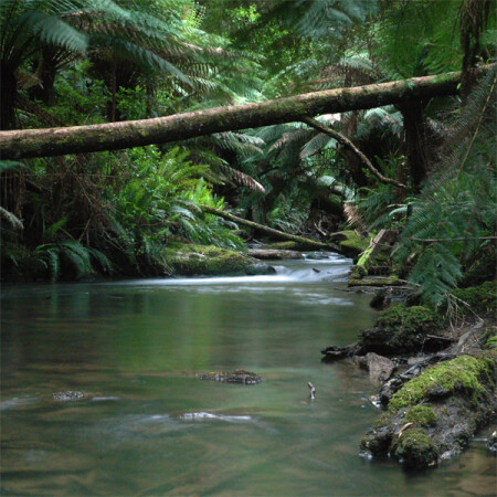 Triplet Falls River