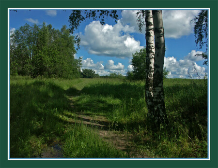 Лето, а ведь когда - то было тепло ...