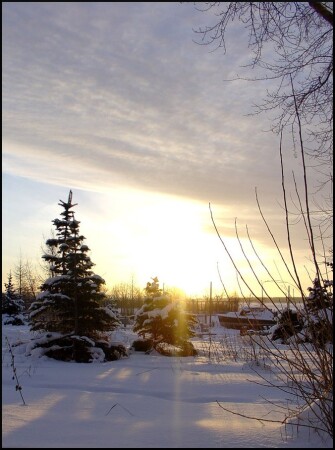 зимний день