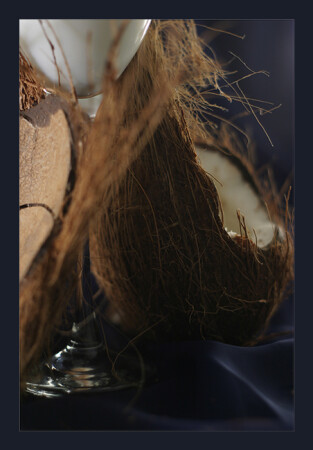 Этюд с кокосом