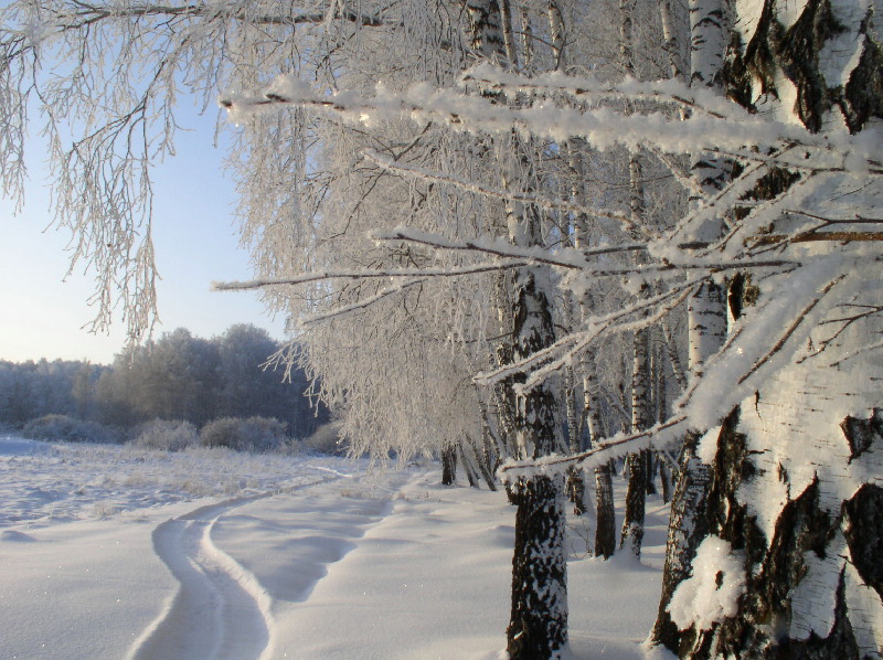 Декабрь