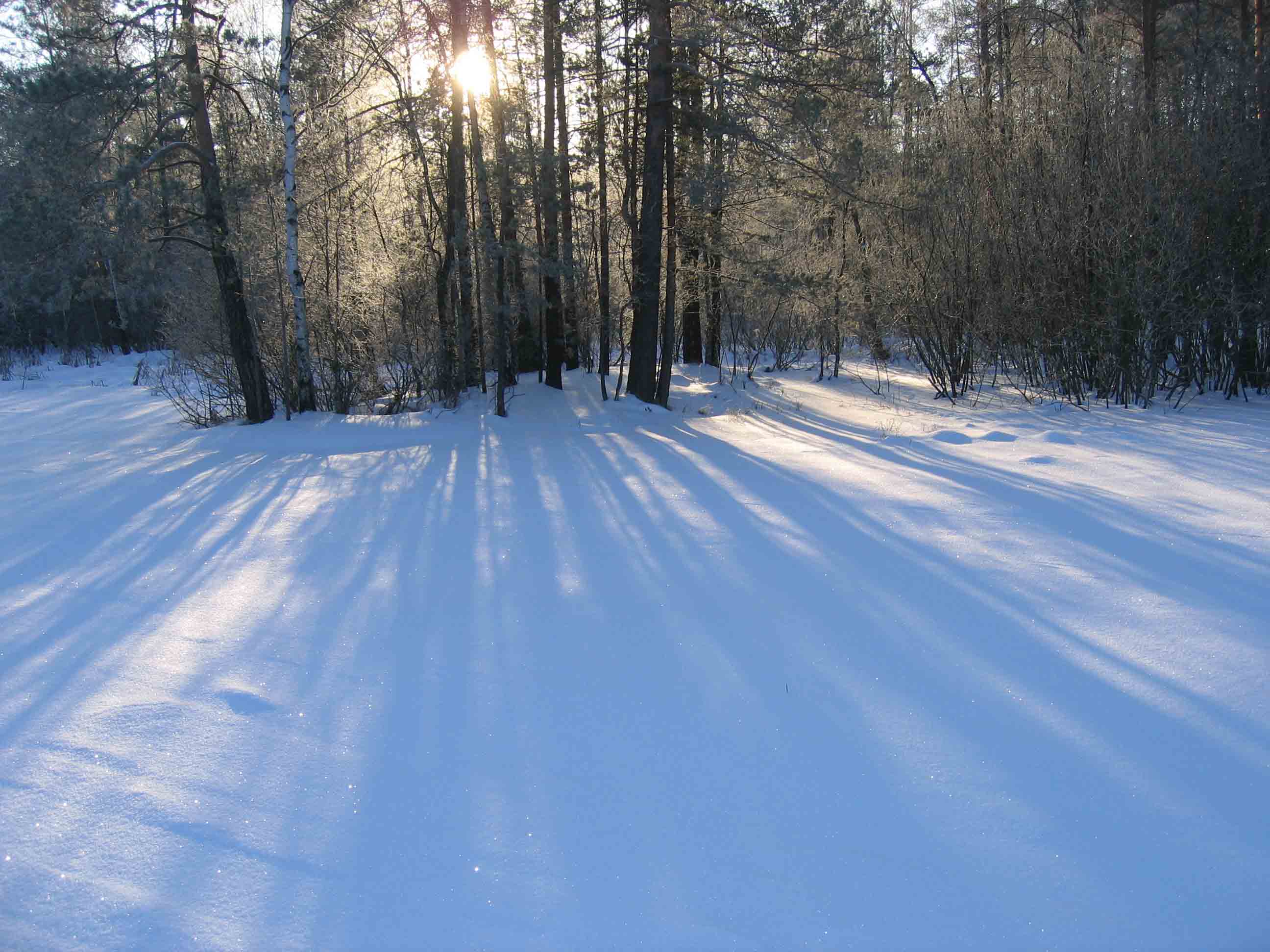 Морозно, около полудня