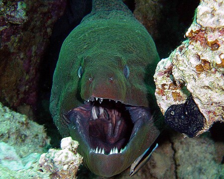 AAAAAAAAAAAAAAAAAAAAAA