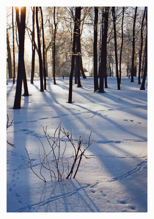 winter