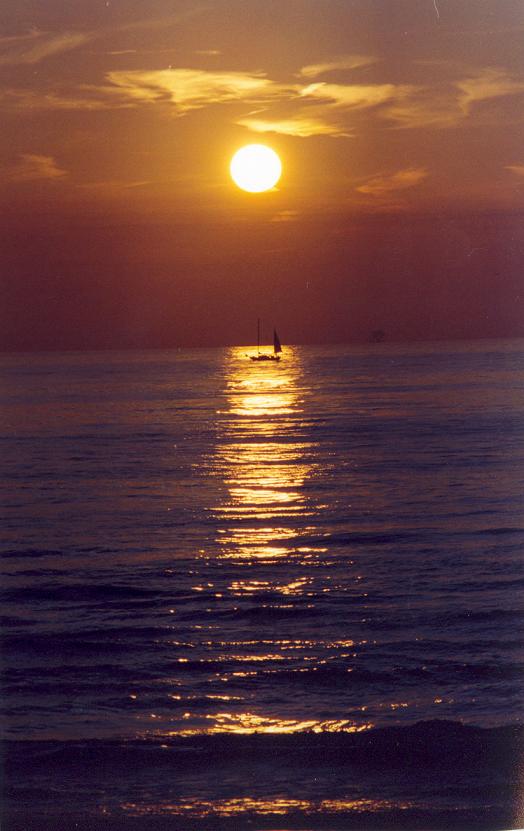 NORD SEE