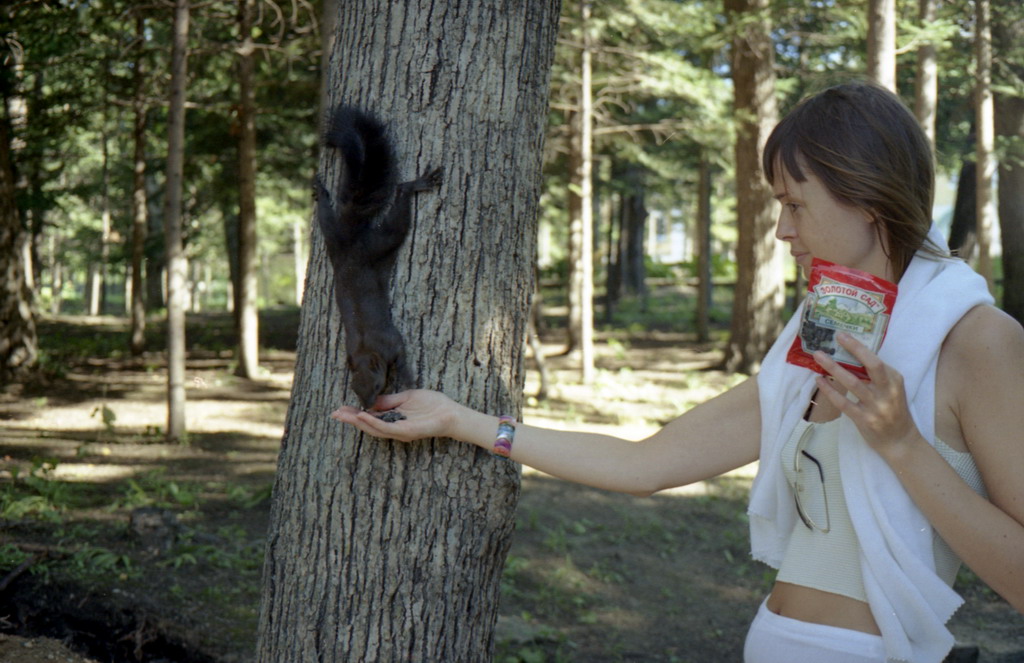 в лесу