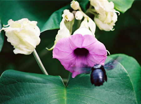 Высшйи пилотаж