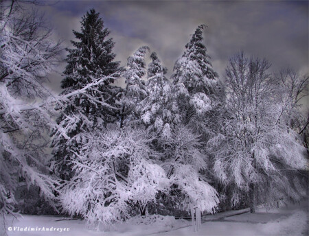 WinterTime