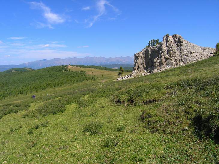 На границе лесов.