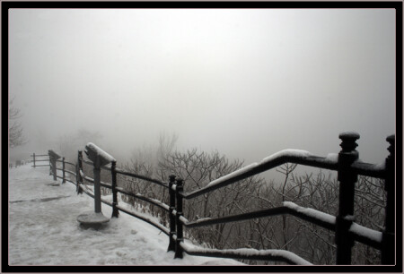 смотровая площадка Mont-Royal