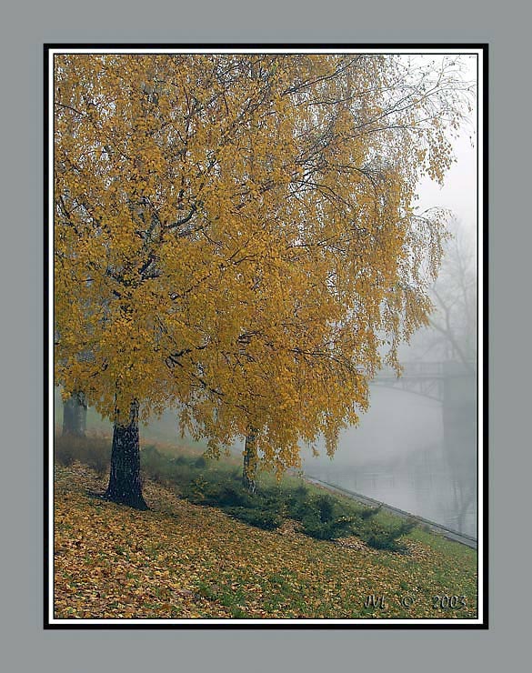 Осеннее утро..